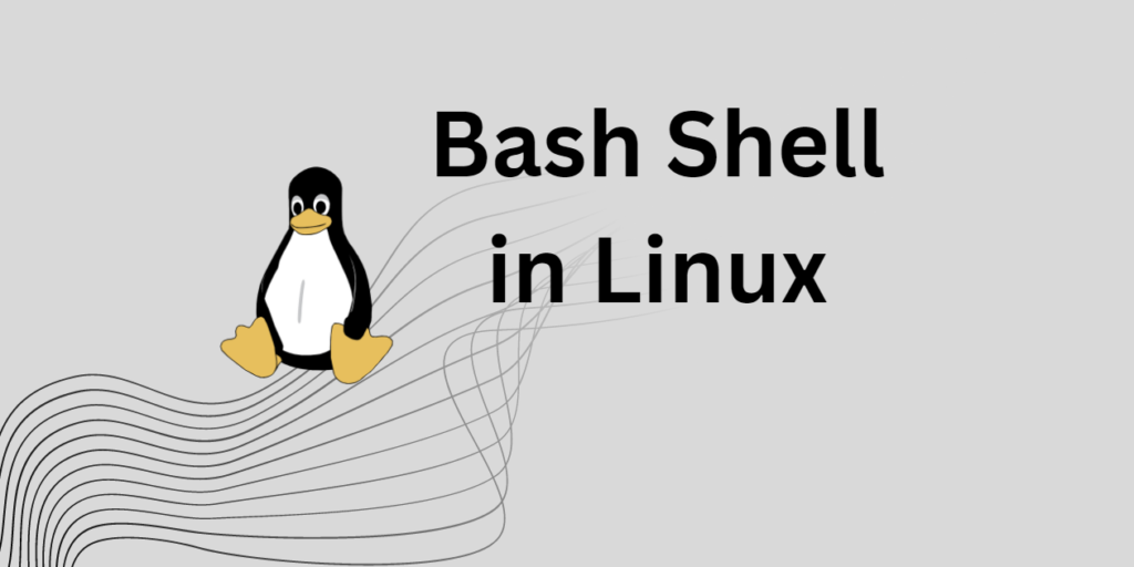 Linux Bash-2